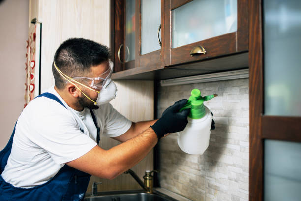 Best Bed Bug Extermination  in Plano, KY