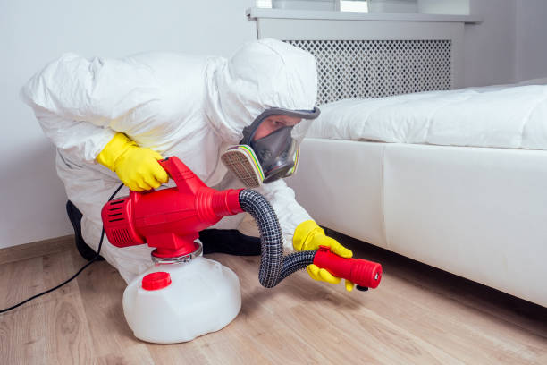 Best Pest Removal Services  in Plano, KY