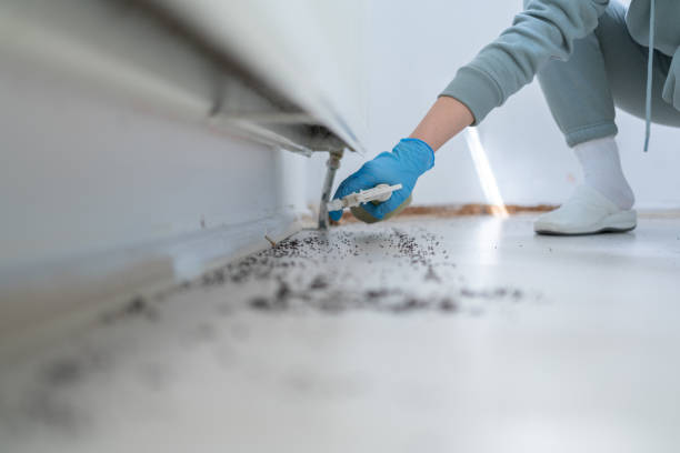 Best Commercial Pest Control Services  in Plano, KY